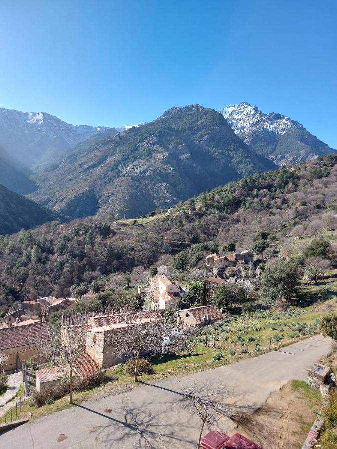 Residence E Cime Asco Locations De Studios Meubles Ngoại thất bức ảnh