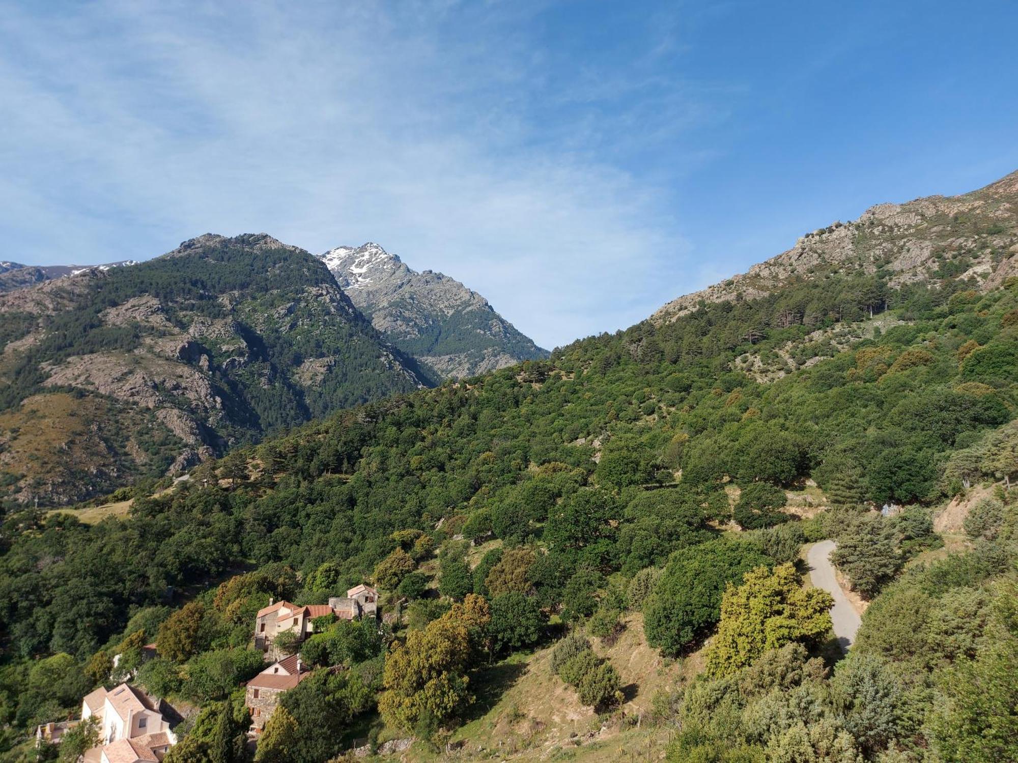 Residence E Cime Asco Locations De Studios Meubles Ngoại thất bức ảnh